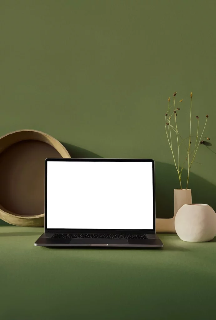 Photos ou l'on peux y observer un ordinateur portable avec un écran blanc dessus; deux vases, une plantes et un plateau en bois